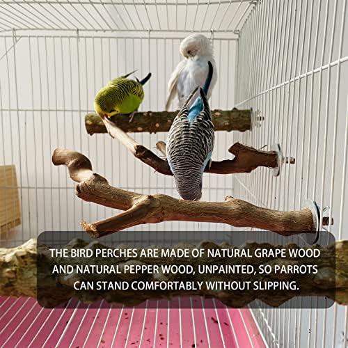5 парчиња перка на птици стојат природни дрвени папагали, гранка, 3 дрво од грозје, 2 штанд, шепа